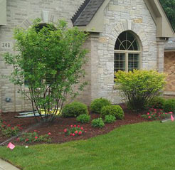 Romano Landscape also provides landscaping services that covers all the seasons: spring clean-ups, summer lawn care service, landscape design, lawn care maintenance, fall clean-ups and snow removal in Naperville, IL 60540, 60563, 60564, 60565